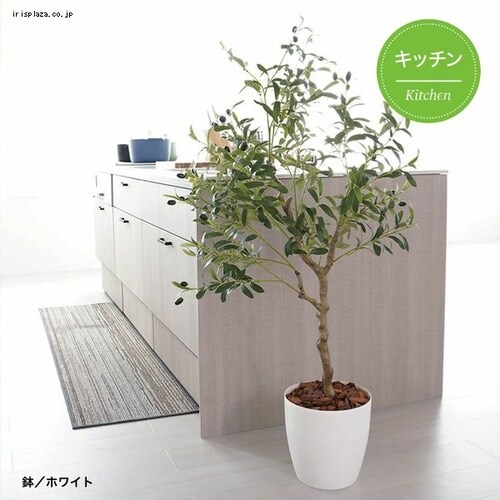 �I���[�u 23028 �S2�F�y������s�z_12