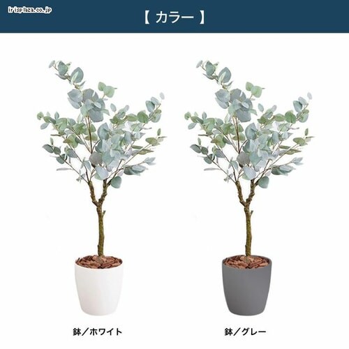 ���[�J�� 23030 �S2�F�y������s�z_3