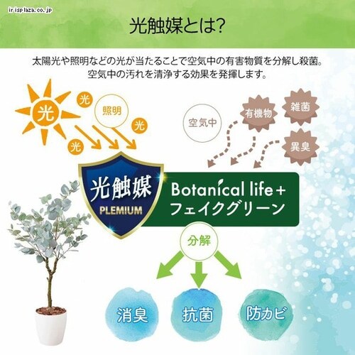 ���[�J�� 23030 �S2�F�y������s�z_7