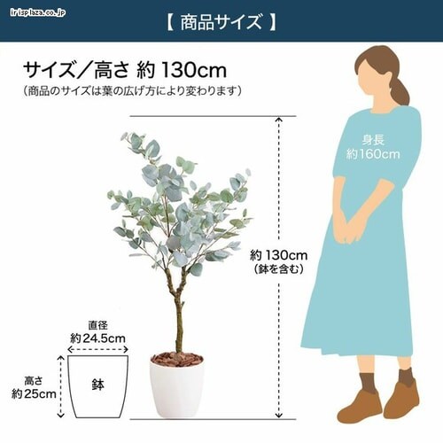 ���[�J�� 23030 �S2�F�y������s�z_13