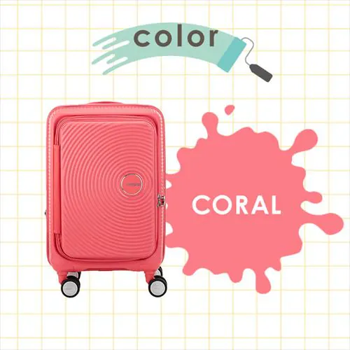 スーツケース Sサイズ CURIO SPINNER 55/20 EXP TSA BO_10