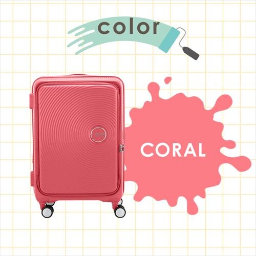 �X�[�c�P�[�X �A�����J���c�[���X�^�[ M�T�C�Y 75�`91L 4�`6�� �_�u���L���X�^�[ �g���@�\�t�� CURIO SPINNER 68/25 EXP ���x���_�[_10