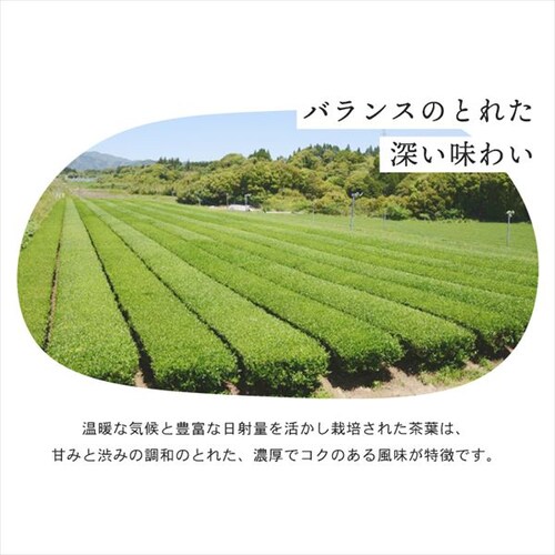 �y24�{�z �É����Y �Β� 280ml�~24�{_11