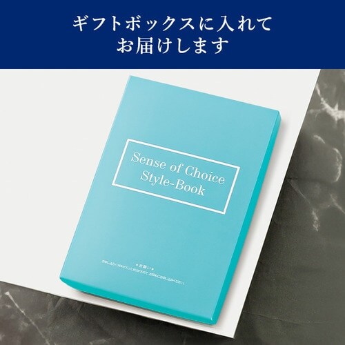 �J�^���O�M�t�g _6