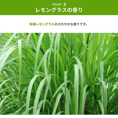 �H��p��� Sonett �i�`�������E�H�b�V���A�b�v���L�b�h 1L_5