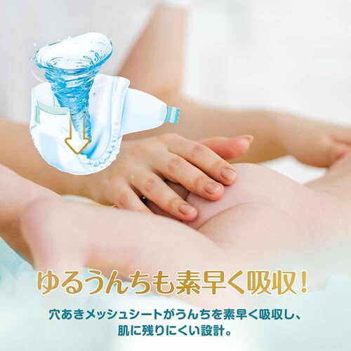 �y4�Z�b�g�z�p���p�[�X �͂��߂Ă̔��ւ̂����΂� / �X�[�p�[�W�����{ L 40���i9-14kg�j _5