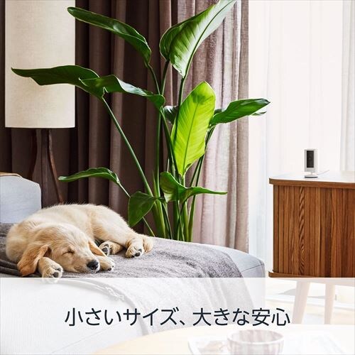 �h�ƃJ���� �����p �o�������� Alexa�A�g�\ ���^  �y�� Amazon Ring Indoor Cam ��2���� �z���C�g_4