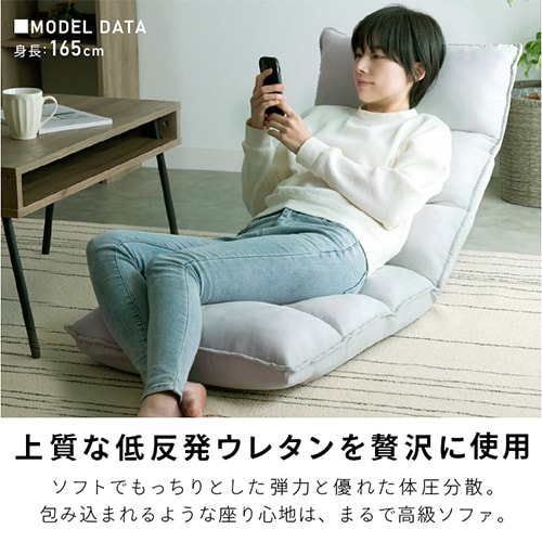 座椅子 NFC-01 ブラウン【プラザセレクト】 7263422 │アイリス