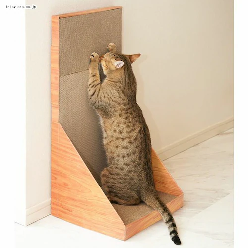 �K���K���E�H�[�� 70 �e�B�[�u���E�� _2