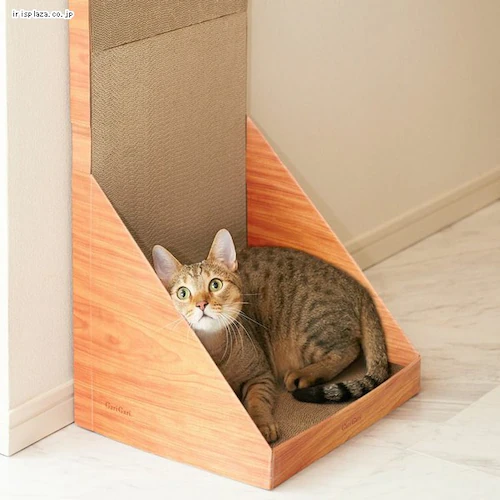 �K���K���E�H�[�� 70 �e�B�[�u���E�� _3