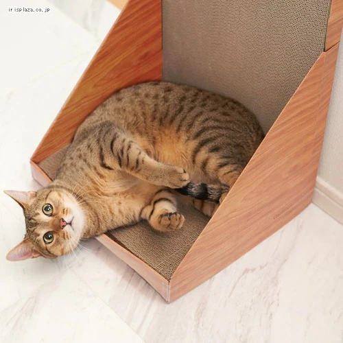 �K���K���E�H�[�� 70 �e�B�[�u���E�� _4