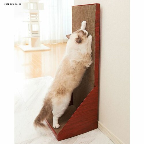 �K���K���E�H�[�� 100 �S2�F_2