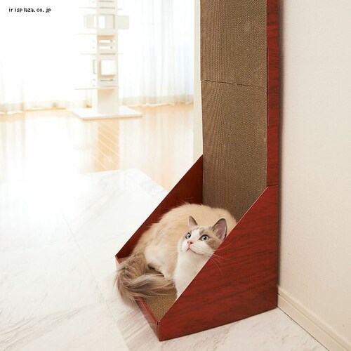 �K���K���E�H�[�� 100 �S2�F_4