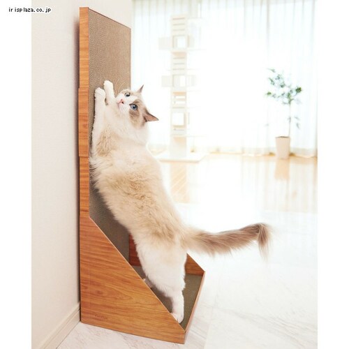 �K���K���E�H�[�� 100 �S2�F_5