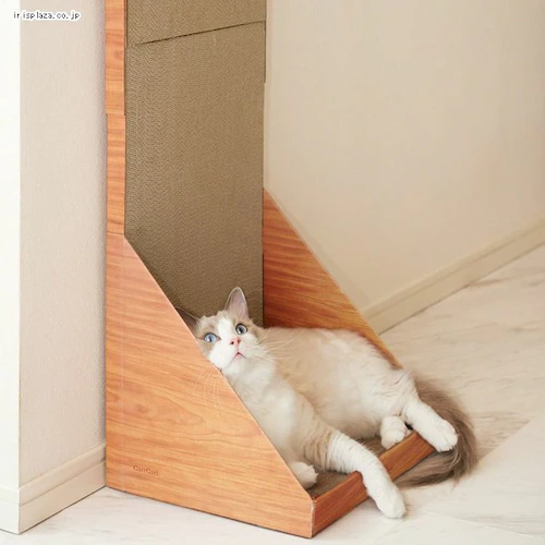 �K���K���E�H�[�� 100 �S2�F_7