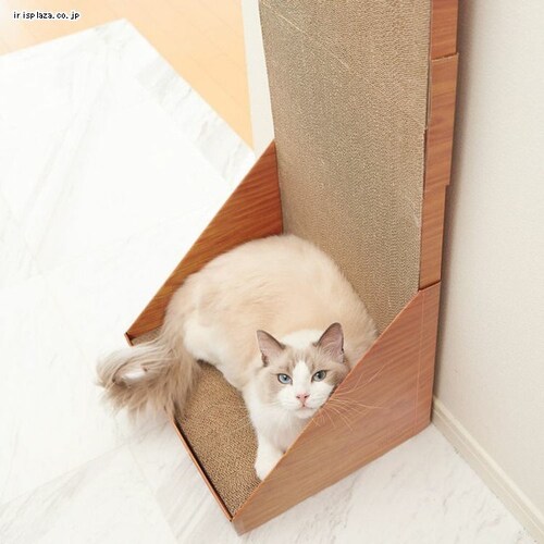 �K���K���E�H�[�� 100 �S2�F_8