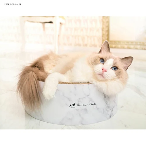 ガリガリサークル マーブル 全2色_2