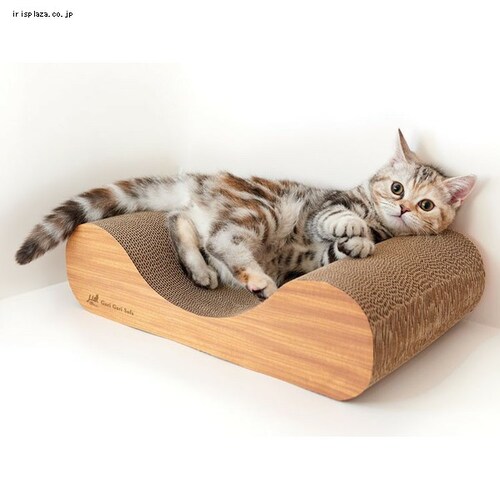 �K���K���\�t�@ �~�j �e�B�[�u���E�� _2