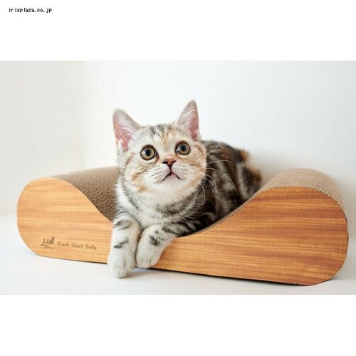 �K���K���\�t�@ �~�j �e�B�[�u���E�� _3