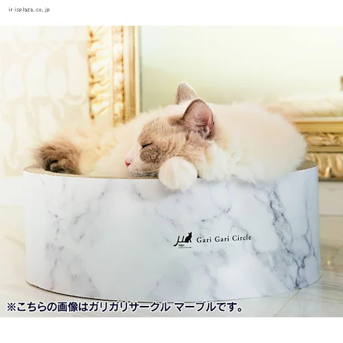 ガリガリサークル マーブル ミニ ホワイト_2