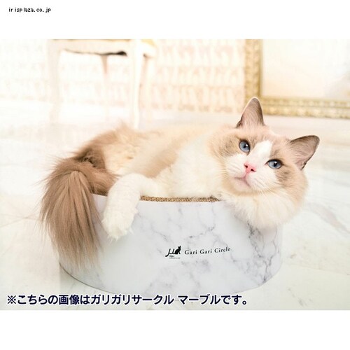 ガリガリサークル マーブル ミニ ホワイト_3