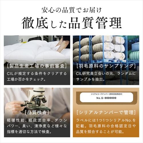 �H�ѕz�c �_�u�������O  WDD85% 330dp 1.2kg �x�[�W���y�O�����s�z�y������s�z�y�����s�z_10