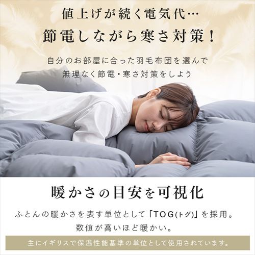 羽毛布団 シングルロング WDD85% 300dp 1.0kg ブラウン 7263634