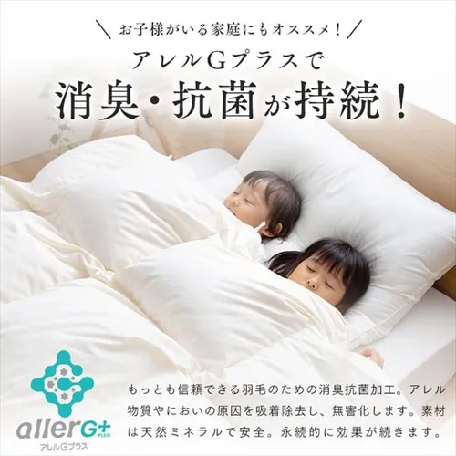 �H�ѕz�c ���Y WDD93% 1.0kg �V���O�������O �y�C�Y���[�s���N  _14