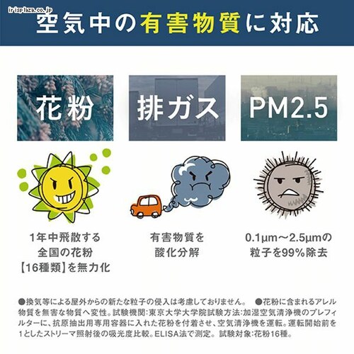 �_�C�L�� ��C����@ 32�� �v���~�A�����f�� �������X�g���[�} MCZ704A-T �u���E��_13