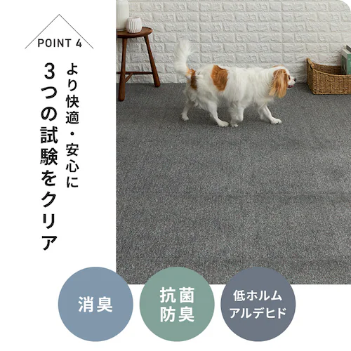 ���L�^�C���J�[�y�b�g 50�~50 TKP-SS50 �~�b�N�X�`���R�[���O���[_11