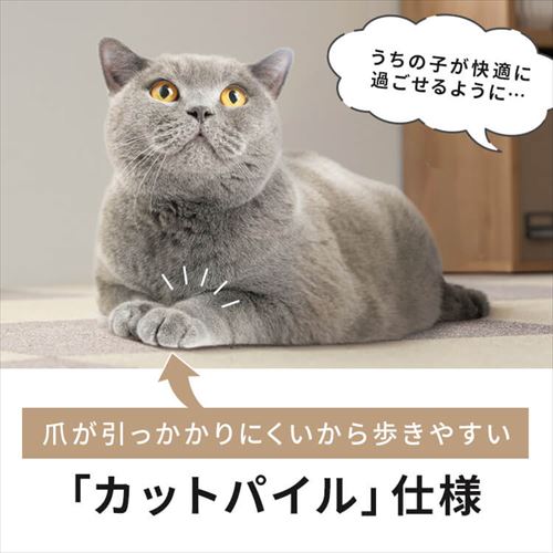 10枚】消臭タイルカーペット 50×50 TKP-SS50 全5色 7263885F