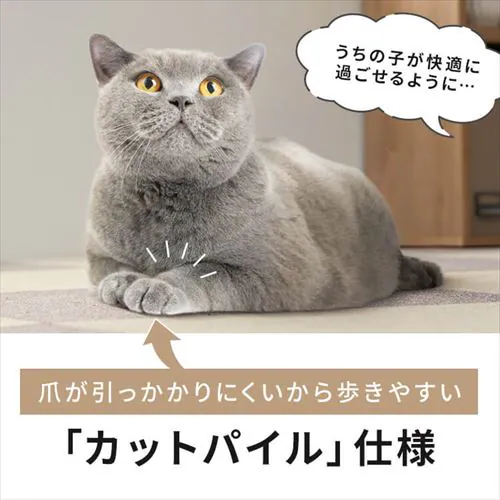 �y10���z���L�^�C���J�[�y�b�g 50�~50 TKP-SS50 �S5�F_2