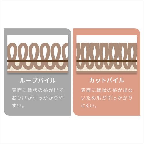 �y10���z���L�^�C���J�[�y�b�g 50�~50 TKP-SS50 �S5�F_11