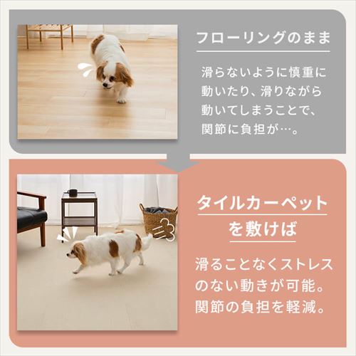20枚】消臭タイルカーペット 50×50 TKP-SS50 全5色 7263890F