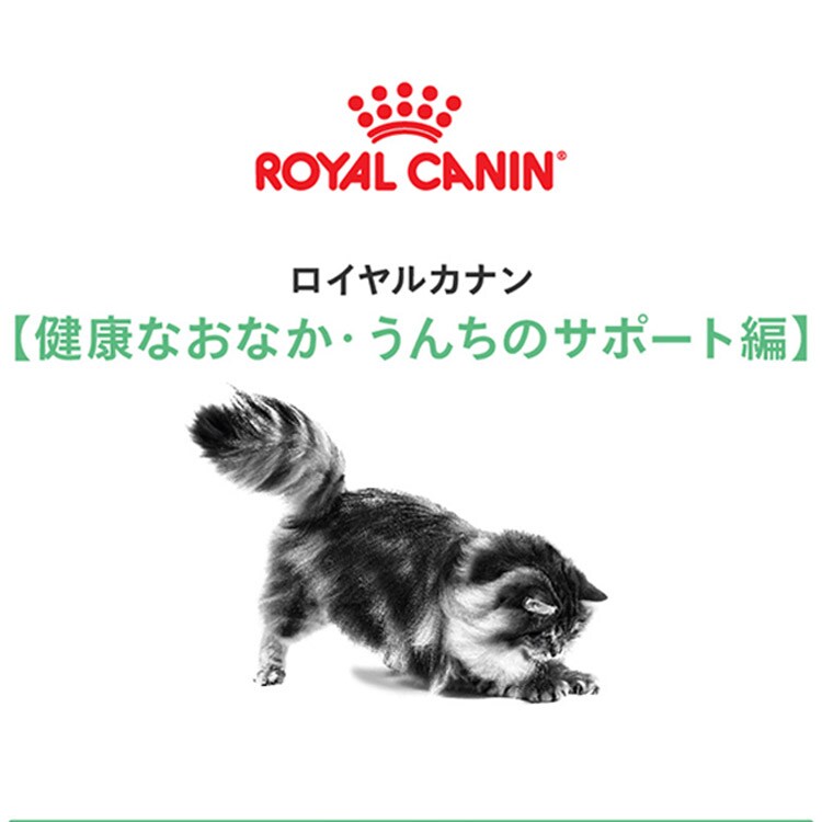 6個セット】ロイヤルカナン FCN ダイジェスティブ ケア 健康なおなか