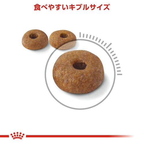 ���C�����J�i�� FCN �_�C�W�F�X�e�B�u �P�A ���N�Ȃ��Ȃ��E�ւ��ێ����������L�p 4kg FCN�i�t�B�[���C�� �P�A �j���[�g���V�����jrccf53_4
