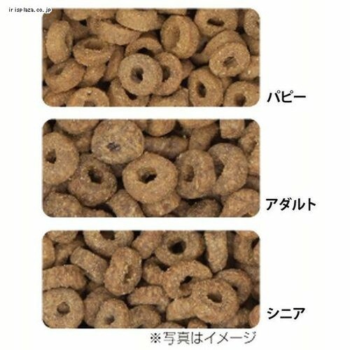 �C�[�X�^�[ �v���X�e�[�W �t�H�[�~���� �h�b�O �T�[���� 800g �p�s�[_2