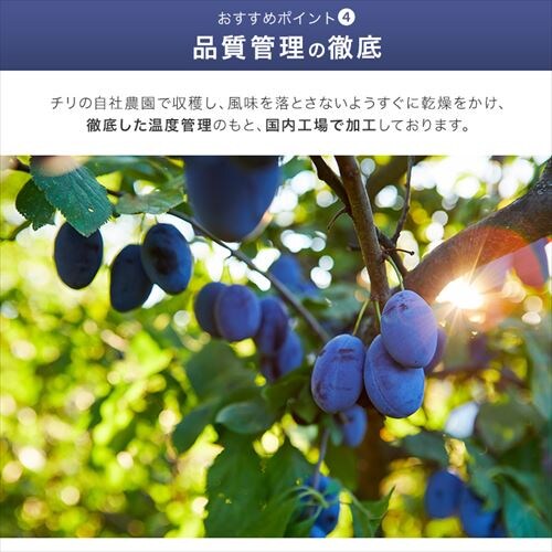 �`���Y�v���[�� 300g �y������s�z_6