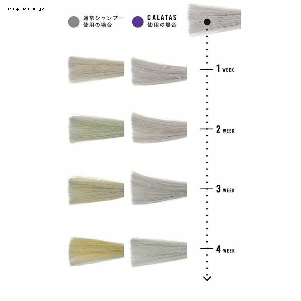 CALATAS SHAMPOO HEAT CARE オレンジ 7264326 │アイリスオーヤマ公式