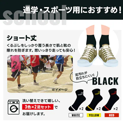 PUMA6足セット 4293719 全1色 2サイズ【プラザセレクト】【代引き不可】_3