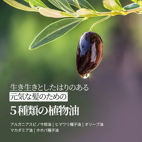 ��500�~OFF��Bouquet Garni �V�����v�[+�g���[�g�����g+�{�f�B�V�����[ �z���C�g���X�N�̍��� �e500ml _14