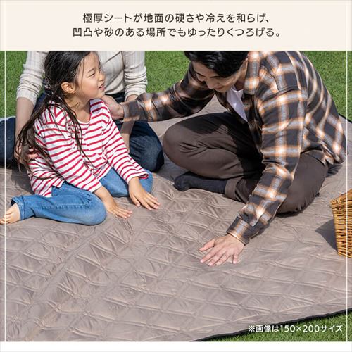 極厚レジャーシート 60×60 ベージュ【プラザセレクト】 7265449