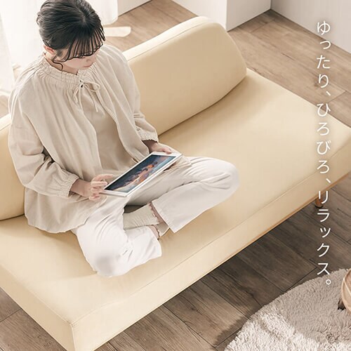 �\�t�@ 2�l�|�� �����h�� �A�[�����X ���C�g�O���[_5