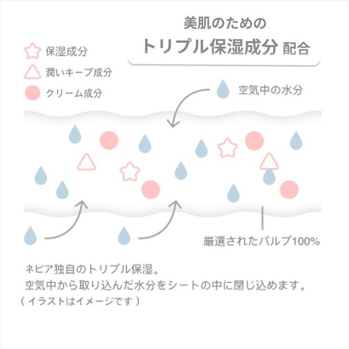 �y6�Z�b�g�z�l�s�A �@�Z���u ����p 240���i120�g�j 541338 _4