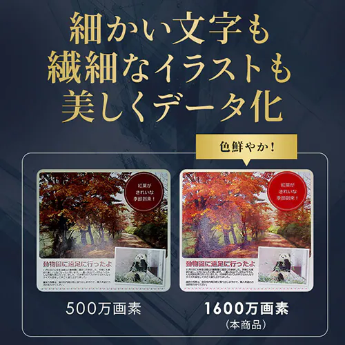 ドキュメントスキャナー ダークグレー WJ1617 【プラザセレクト】_5