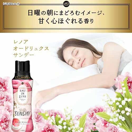P&G レノアオードリュクス マインドフルネスシリーズ アロマジュエル ビーズ サンデー 本体 520ml _4