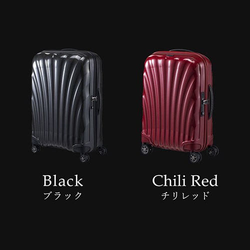 �X�[�c�P�[�X �T���\�i�C�g 36�`42L 1�`3�� �@���������݉\ �_�u���L���X�^�[ �g���@�\�t�� C-lite SPINNER 55/20 EXP �~�b�h�i�C�g�u���[_9