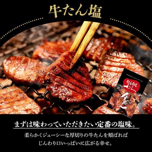 ���v �������H�Z�b�g1 RA-P1�y������s�z_4