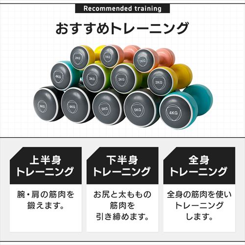 正規品】ダンベルセット TKS42HM002-6KG 6kg／ブラック【プラザ