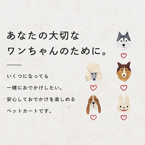 �R���t�H�[�^�u���y�b�g�J�[�g 4�� 1011112003 �O���[_5